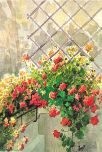 Print: Jany: Balcon cu flori - cm 35x50